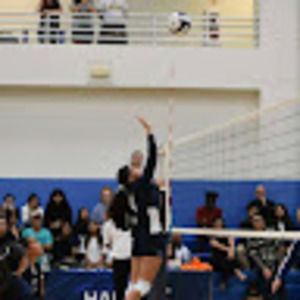 Meet your Posher, Lea-reese torres